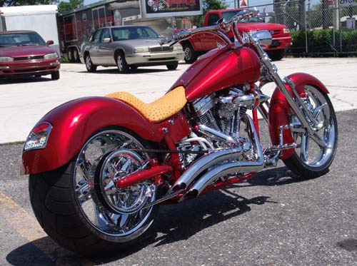 Chopper City USA Customized Big Dog