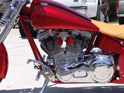 Chopper City USA Customized Big Dog