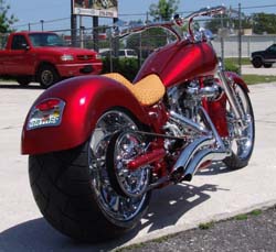 Chopper City USA Customized Big Dog