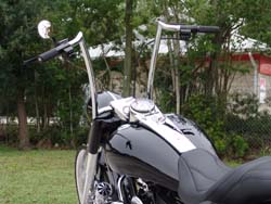 Daren's Customized Road King