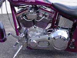 Daytona Nights Motorcycle FOR SALE