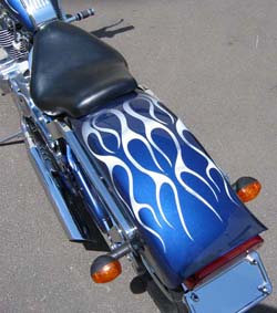 300 Spyder Paint Rear Fender Flames