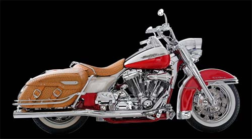 Customized Road King